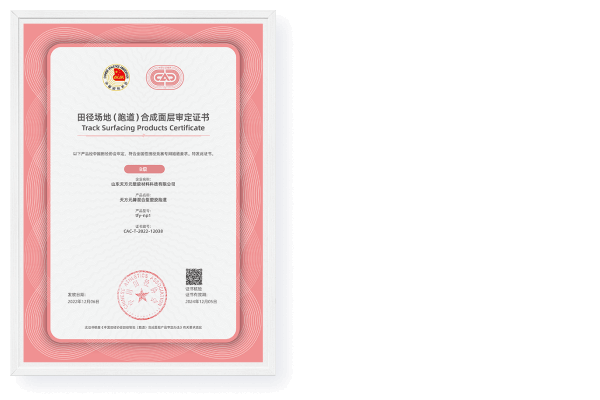 球速体育官方网站图片