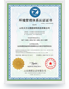  山东球速体育塑胶环境管理体系认证证书