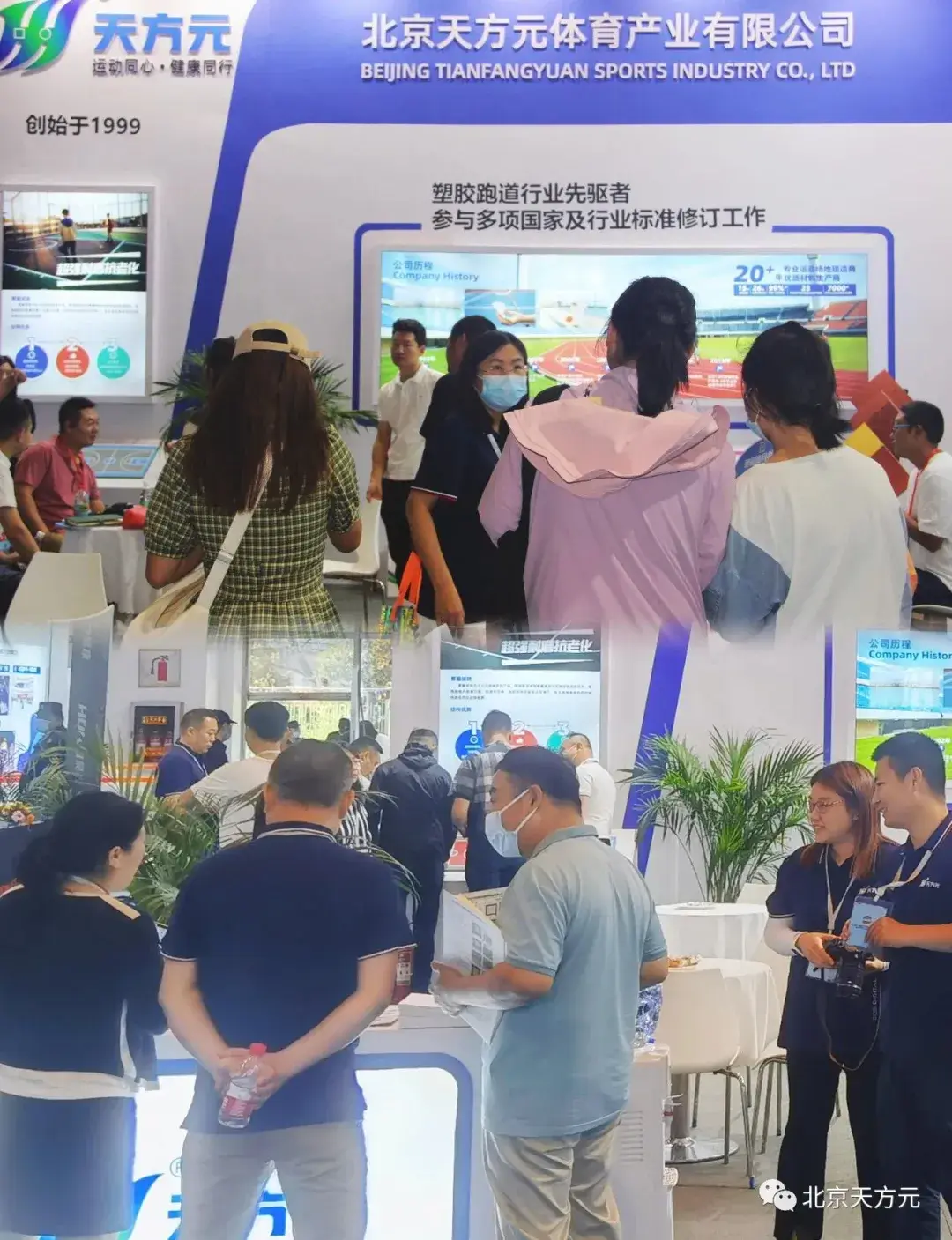 球速体育官方网站图片